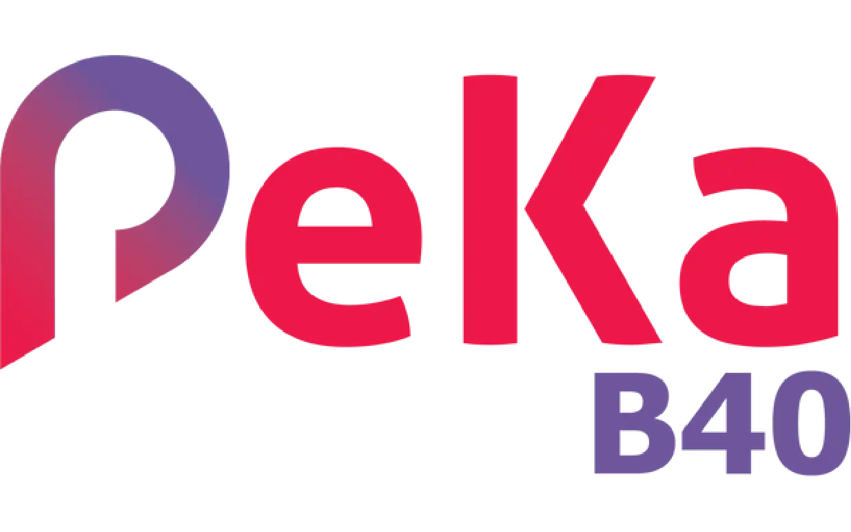 Peka B40 Logo